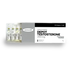TESTOSTERONE ENANTHATE NEWELL 250MG 10 x 1ML AMPOULES